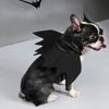 Cat Costume Bat Wing Costume for Dogs Party Props Dress Up Accessories Adjustable Pet Cape Festival Photo Suit
