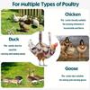 Pet Chicken Carriers Bag Safe Rooster Transport Bag Poultry Holder Bag for Chicken During Outdoor Excursions Driving