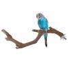 5PCS Bird Training Branches with Fixing Screw Easy To Install Anti-Slip Design Branch for Small Parrot Birds