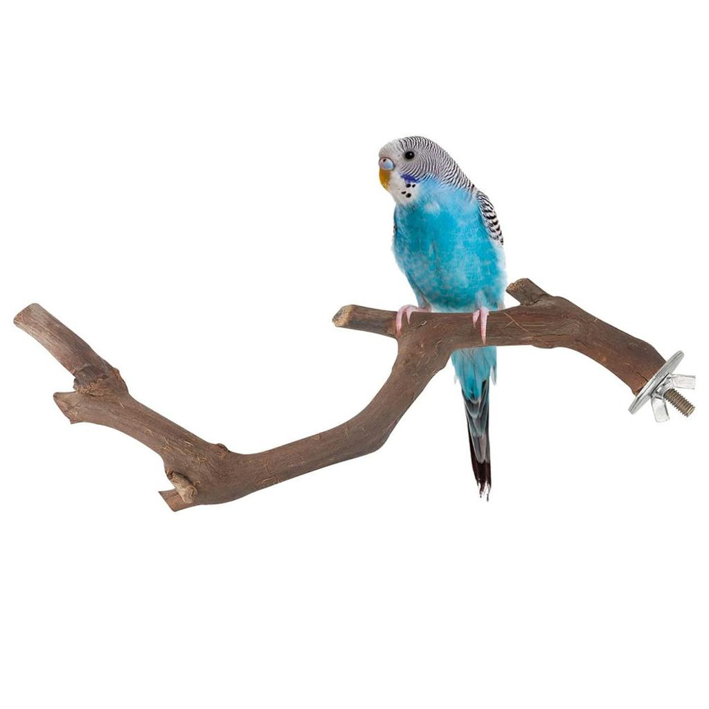 5PCS Bird Training Branches with Fixing Screw Easy to Install Anti-Slip Design Branch for Small Parrot Birds