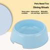 Pet Supplies Wholesale Candy Color Plastic Dog Bowl, Cat Basin Edible Utensils Cat Bowl, Pet Bowl Single Bowl Small