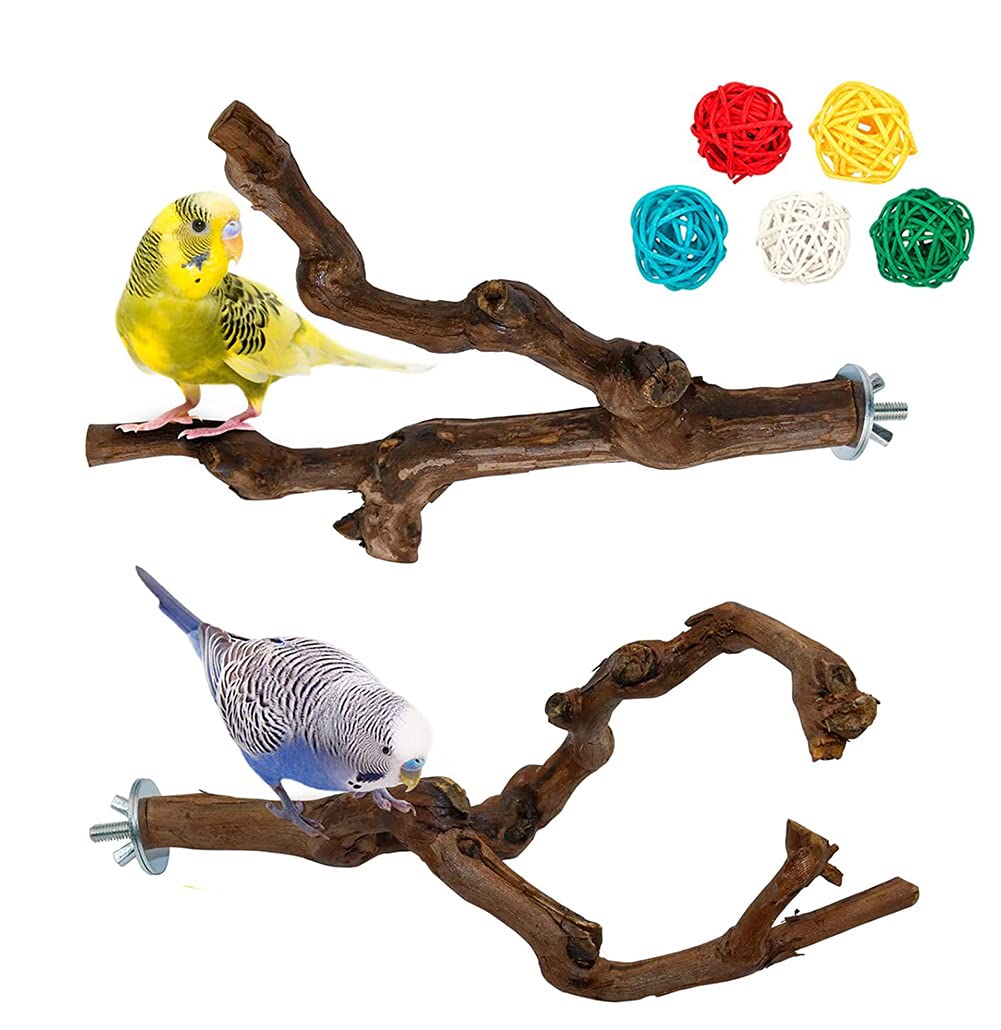 

Perch Perch Set of 2 Natural Vines Scratching Perch Parakeet Perch Sharpen Nails Bird Stand Parakeet Toy Bird Toy Chew Toy Bird Supplies Bird Resting зелений