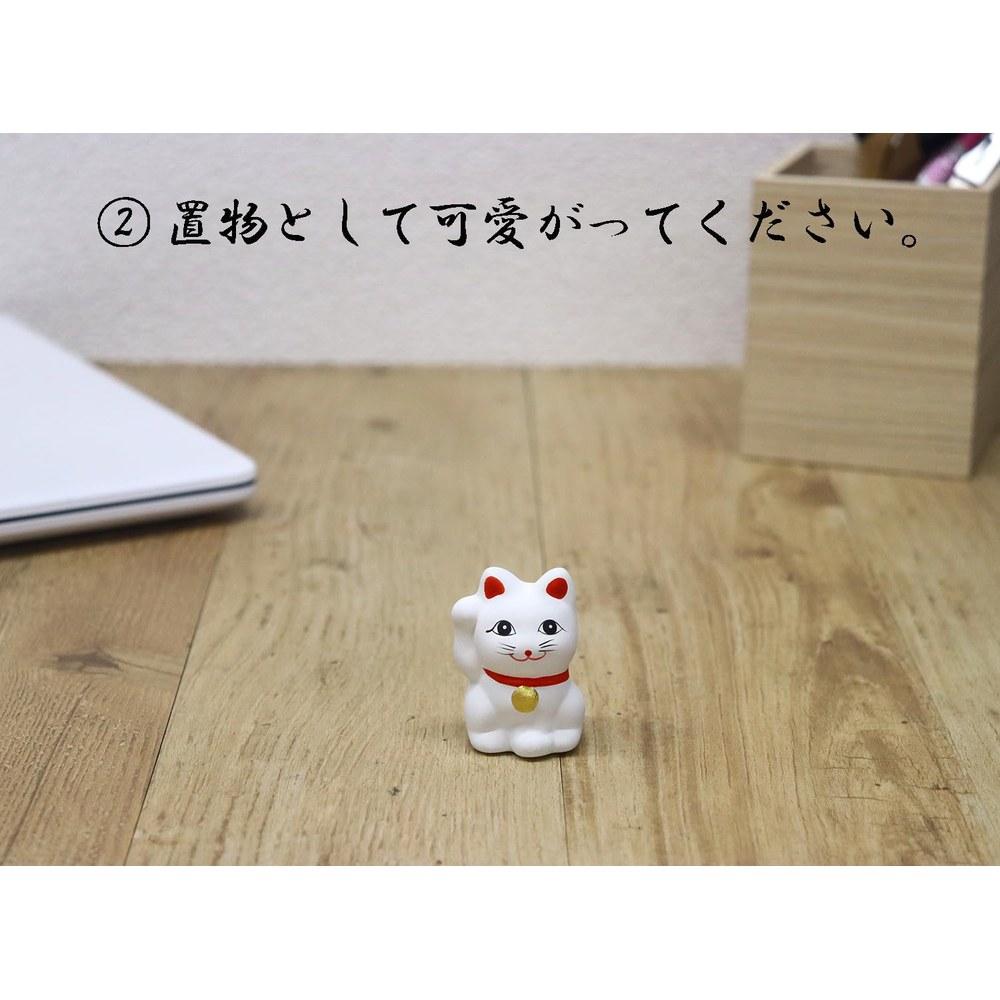 Castle Enterprise Lucky Cat Fortune Slip Set with Omikuji 24 Pieces Display Box Included White Fortune Seal