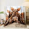 Hairless Cats Cluster Blanket bedroom Blanket for Livingroom Couch lunch break Soft throw for Friend's festival Gift