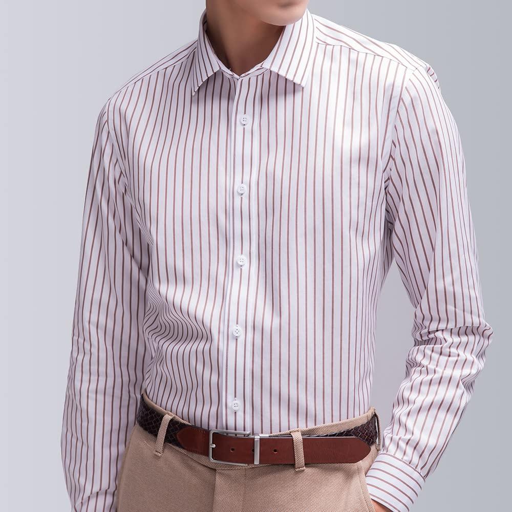 Enshe Men's Long Sleeve Dress Shirt, Slim Fit, Striped, No-Iron, Workwear, All Seasons, Shape Memory, ESA1-817 (Size 39, Brown)