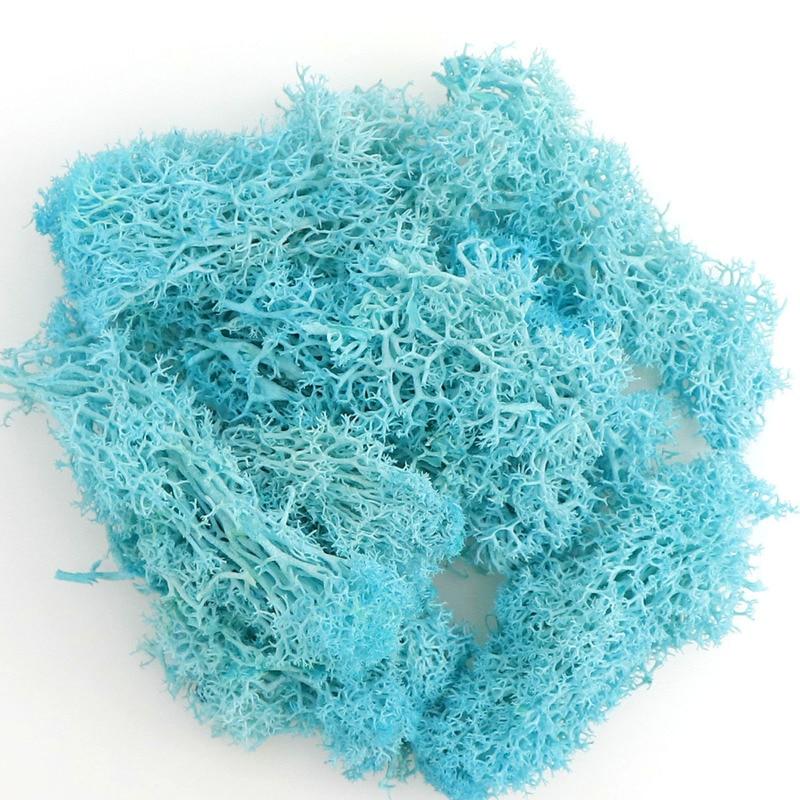 20g Artificial Flower Moss Grass Artificial Green Plant Immortal Living Room Decorative Wall DIY Flower Accessories