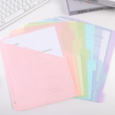 8 Pcs A4 Pastel Binder Dividers 8-Tab Dividers 3-Ring Binder Single Pocket Dividers Single Pocket Plastic File Folders School