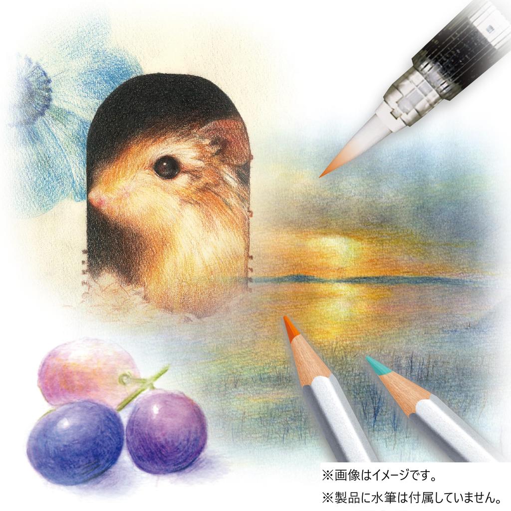 Staedtler Karat Aquarell Special Package Watercolor 60 125mm Pencils, Colors, (M60W25)