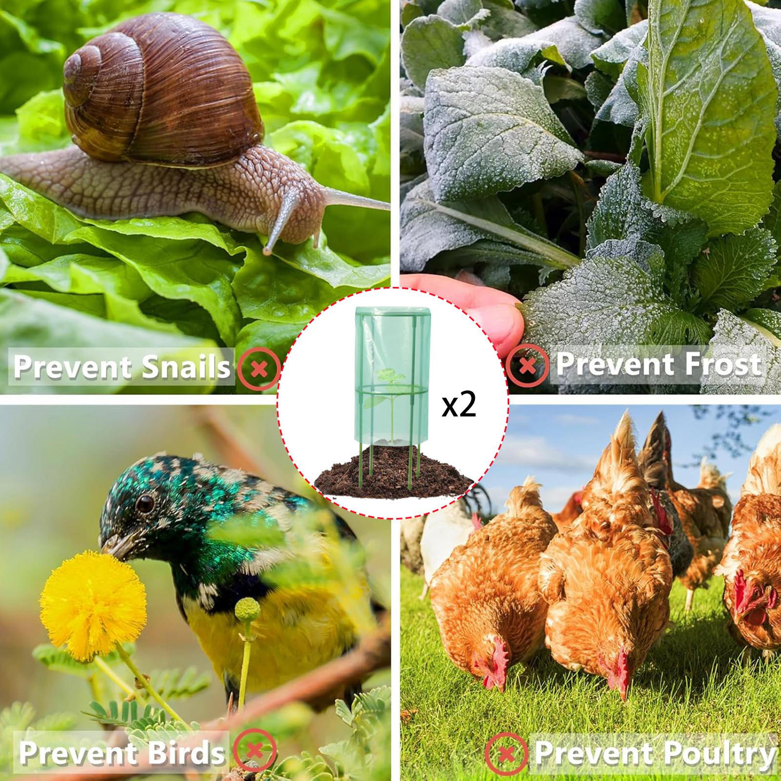 

Садовые клоши для растений Мини-теплица Зеленые Прочные Аксессуары Экономия места Защита от солнца Растение 2 Piece