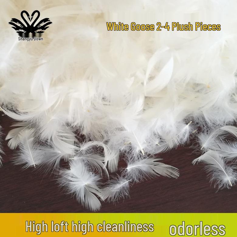 Pure White Goose Down Sheets for Sofa Pillows and Mattresses - Clean and Odorless (4-Pack)