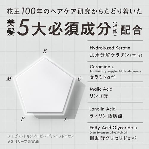Kao Answer Super Lamellar Shampoo 400ml Ceramide Keratin Hair Repair Japan