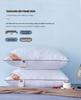 All-Cotton Pillow with Pillowcase: 48x74cm for Adults, 30x50cm for Kids, or 40x60cm for Students.