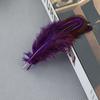Natural Feather Diy Feather Dachang Feather Pheasant Hair Headdress Accessories Clothing Accessories 5-8Cm Colored Feather