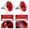 New Pet Reptile Heating Lamp Set Illumination E27 Heating Lamp Bracket Pet Light Bulb Bracket Lampshade Emission Lamps 220-240V