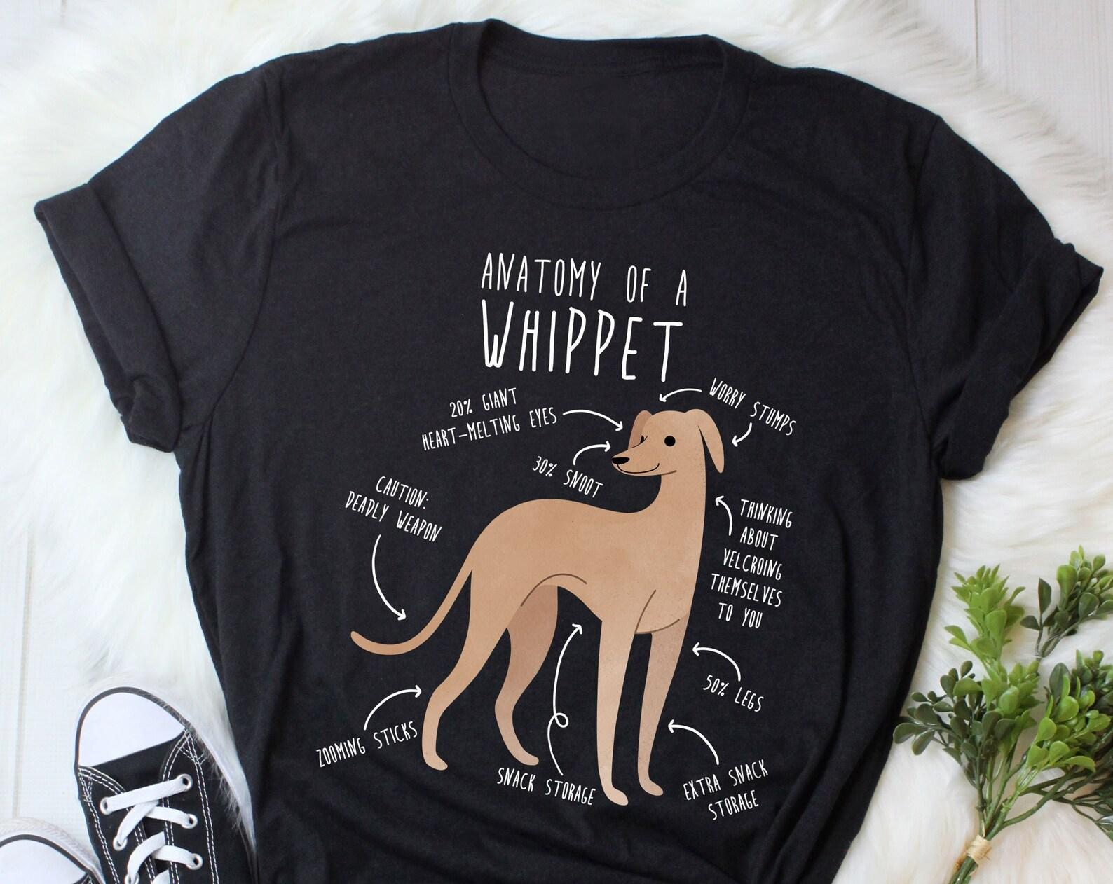 Whippet Shirt, , , Funny Fawn Whippet Lover Gift, Cute Dog T-shirt, Pet Tee, Dog Mom, Dog Dad, Greyhound Sighthound Animal Anatomy 160