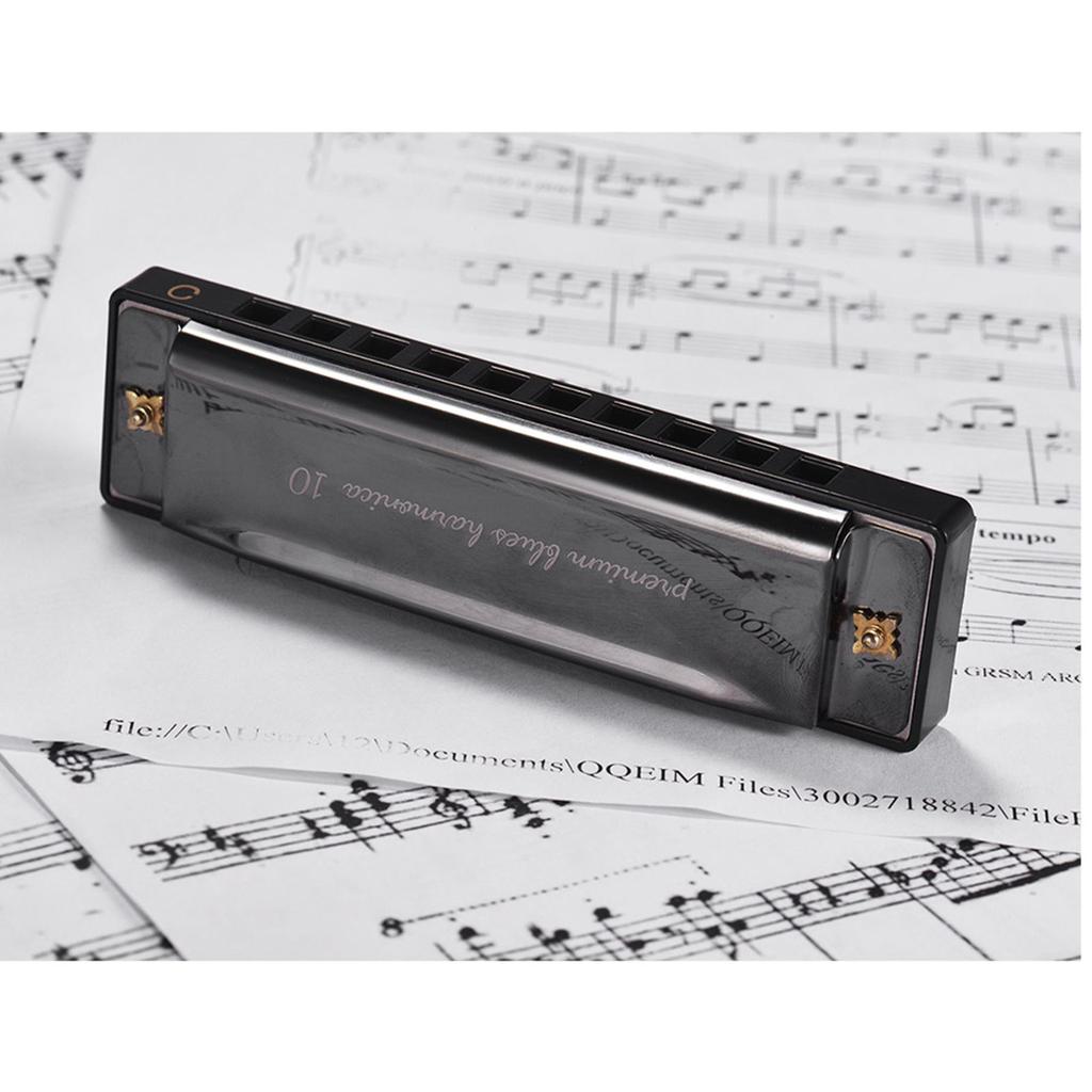 Key of C Diatonic Harmonica Mouthorgan with ABS Reeds Mirror Surface Design 10 Holes Blues Harmonica Perfect for