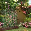Garden Cucumber Trellis Large Metal Trellis Detachable Climbing Arch Plants Support for Vegetable Beans Fruit U-Frame Trellis