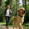 Adjustable Pet Leash 1.5M-50M Long Outdoor Training Lead for Dogs And Cats Personalized Rope Small to Large Breeds