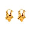 Exquisite Fashionable Star Earrings: Japanese-Korean Design, Versatile Light Luxury, Unique Personality Jewelry for Women