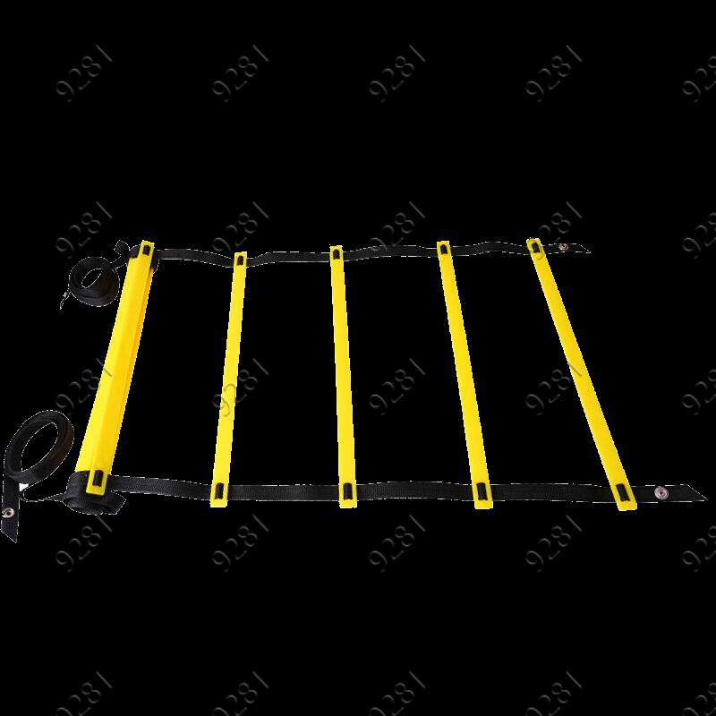 Agility Training Ladder