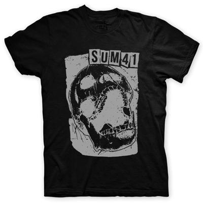 Üst giysisi – T-shirtler