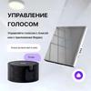 EU Standard WiFi Smart Switch with Alice Voice Control for Smart Home
