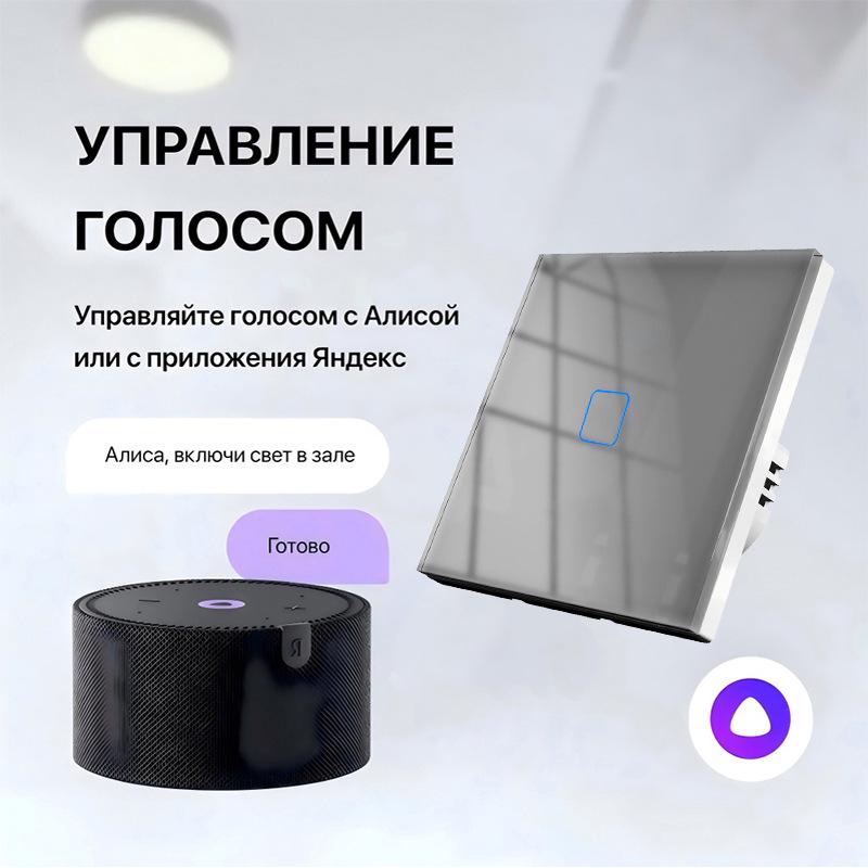EU Standard WiFi Smart Switch with Alice Voice Control for Smart Home