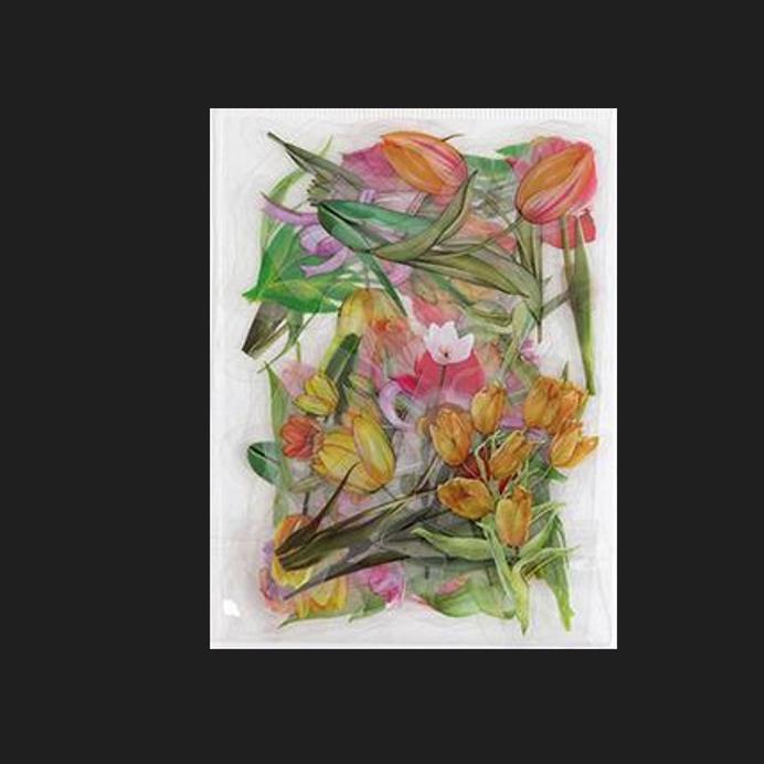 

Набор наклеек с цветами, 40 шт., свежие цветы, растения, прозрачные водонепроницаемые ромашки, украшения для рук, материал для скрапбукинга