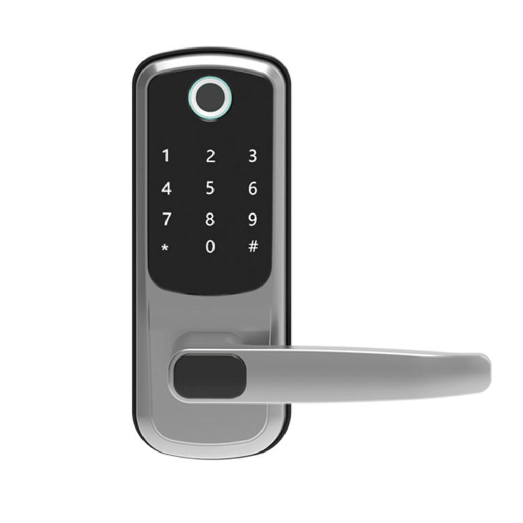 Inductive Swipe Card Lock Electronic Smart Waterproof Door Lock LOCK WIFI Biometric Fingerprint Password Lock