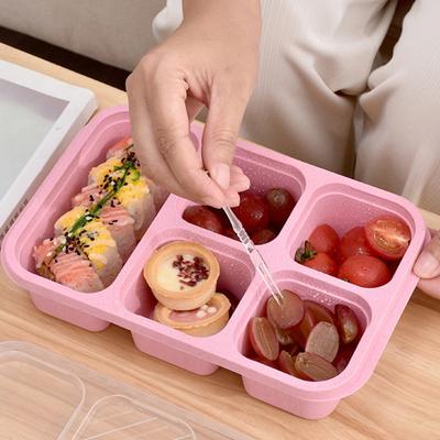 Lunch Box with Lid Five-Compartment Design Convenient Healthy Odorless Food Storage Containers for Snacks And Fruits