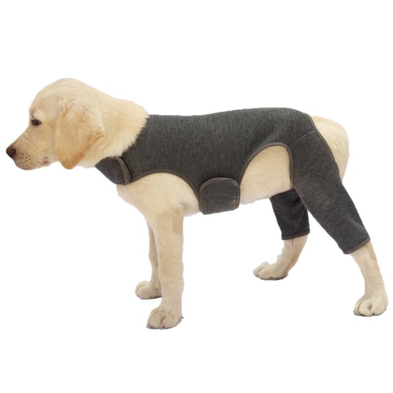 

Dog Leggings Rear Leg Wrap for Warmth and Support for Injured Aging Pet XS