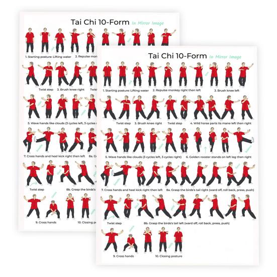 2Pcs Tai Chi Exercise Chart 10 Form Mirror Image Poster