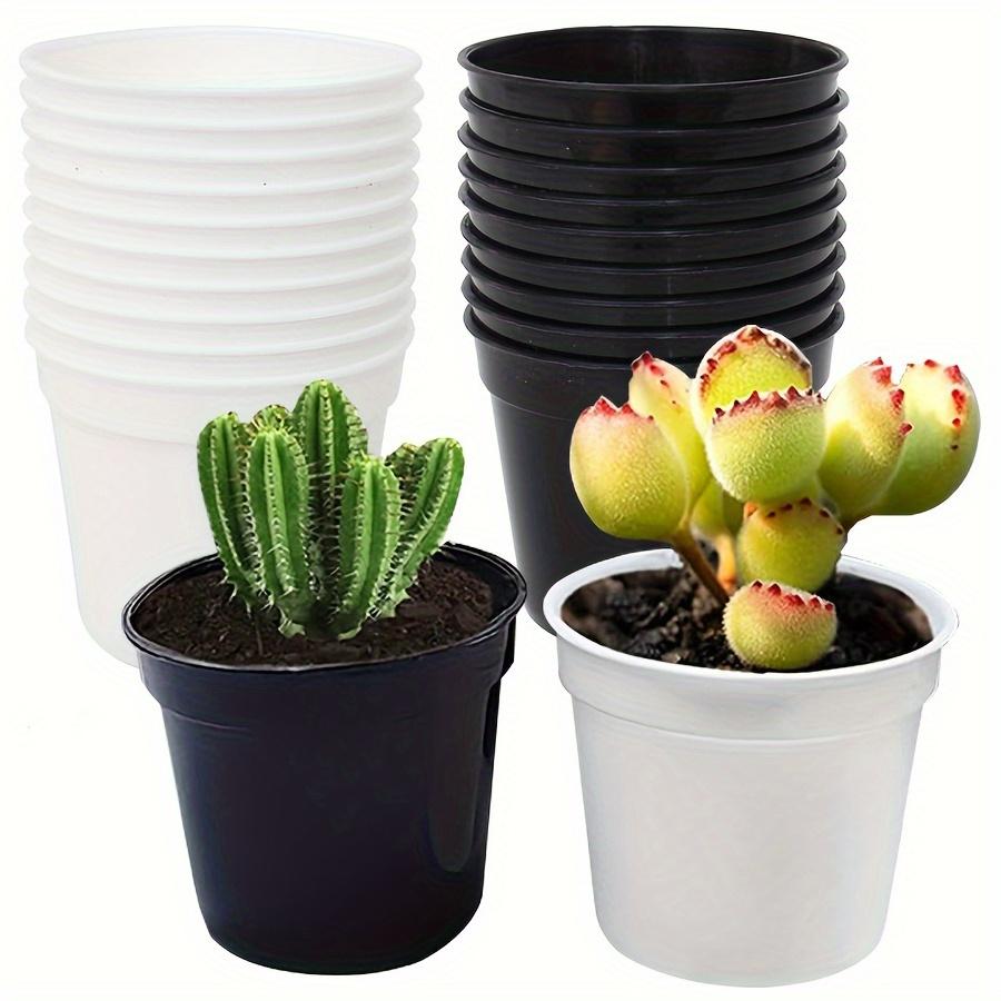 20pcs Plant Pots Small Flower Pots with Drainage Hole Durable Plastic Pots Nursery Small Flower Pot Bulk for Plants JXB