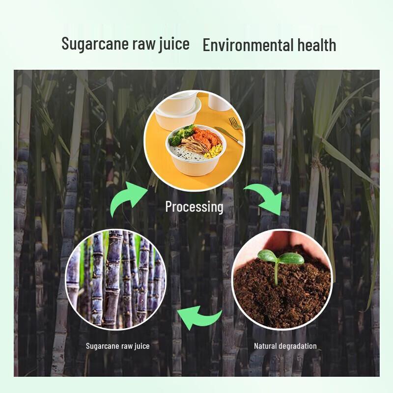 Eco-Friendly Disposable Bagasse Meal Bowls