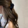 Balletcore Bow Preepy 2000s Claw Side Clip Hair Clip Princess Sweet GirlsBangs Bow Style Claw Bow Multicolored