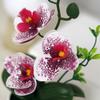 Simulated Butterfly Orchid Potted Artificial Flower Bonsai Plants Outdoor Indoor Office Home Wedding Decor Bonsai Faux Flowers