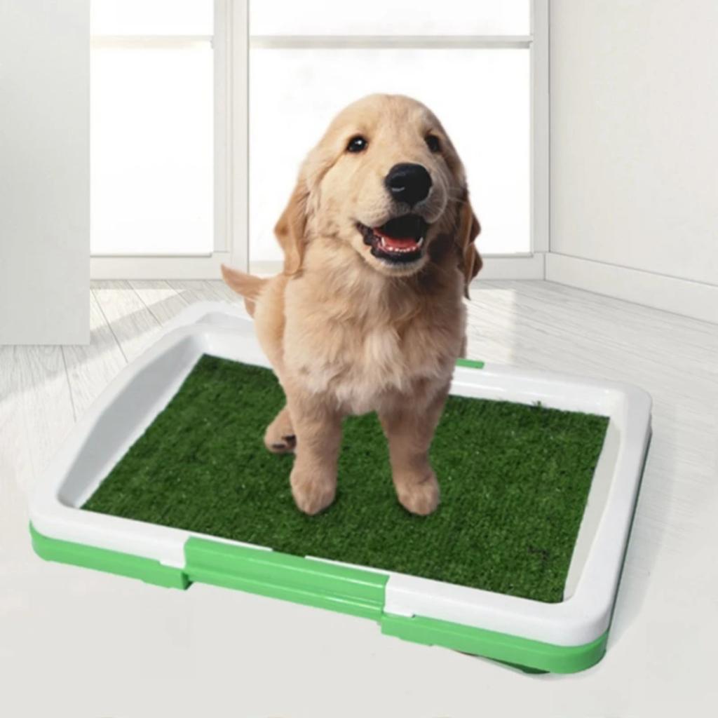 New Reusable, Washable, Splashproof Artificial Grass Dog Potty Training Toilet for Dogs - Pet Supplies Puppy Pad Tray, Pet Dog T