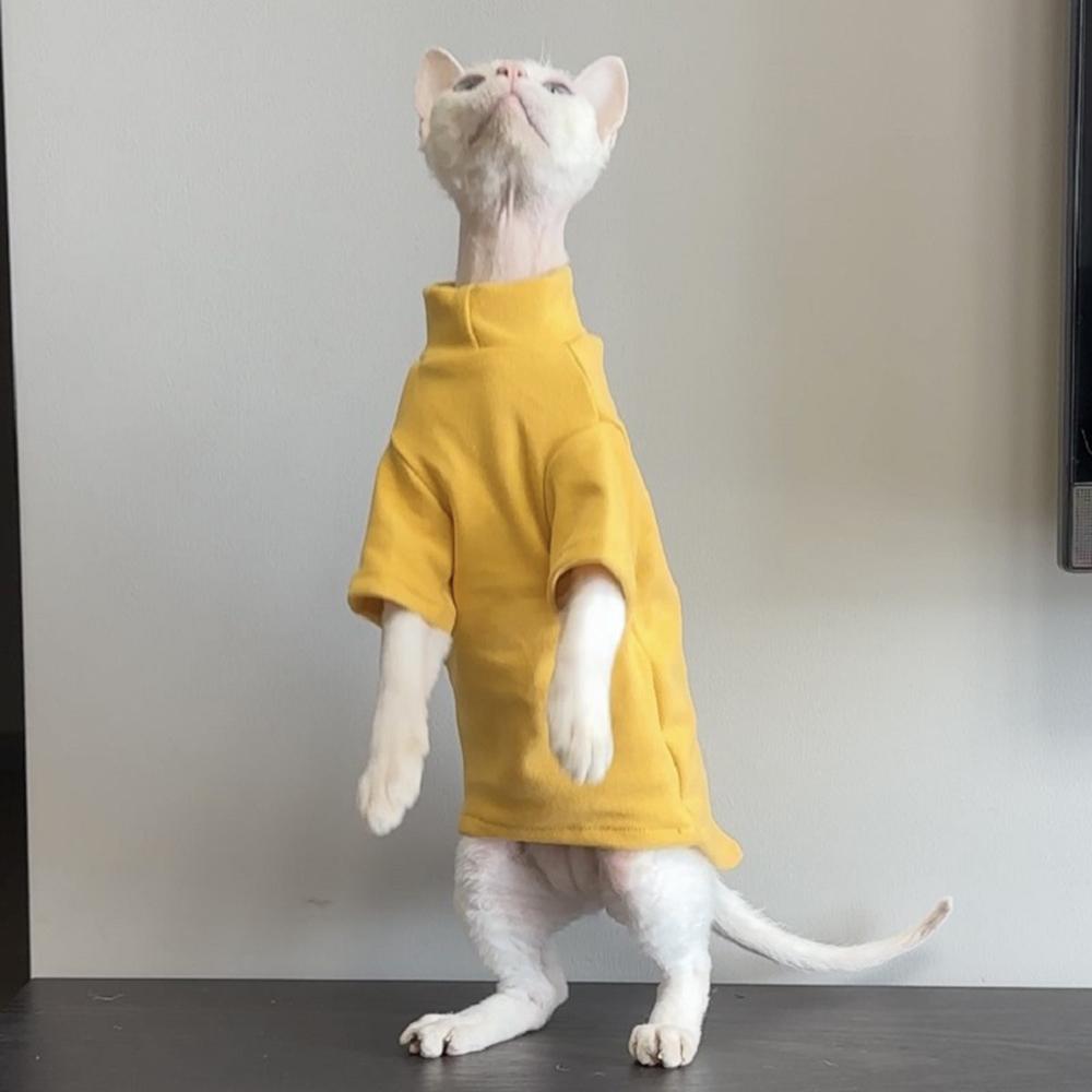 Autumn Winter Cat Hoodie for Cats Solid Pet Kitten Clothes Sphynx Maine Coon Ragdoll Pullovers ropa para gatos mascotas Shirts
