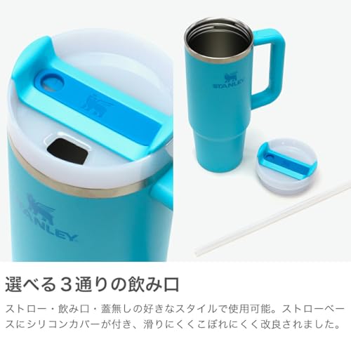 STANLEY H2.0 Vacuum Slim Quencher, 0.88L Stainless Steel Straw Tumbler, 880ml Insulated Water Bottle, Outdoor Use, 10-10829, Hydrangea