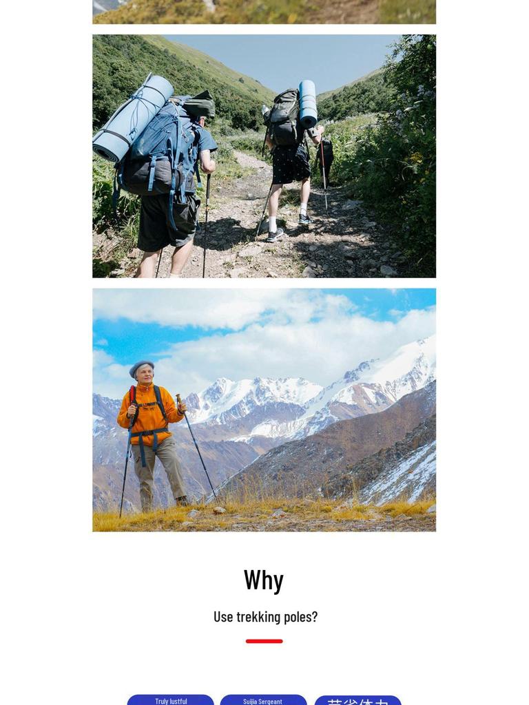 Ultralight Adjustable Hiking Poles with Curved Handle, Aluminum Alloy 6061, Three-Section Off-Road Walking Stick N101