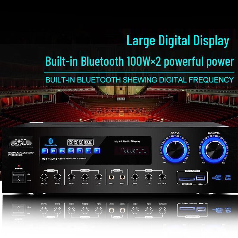 SAST D20 Home KTV HIFI AV Power Amplifier