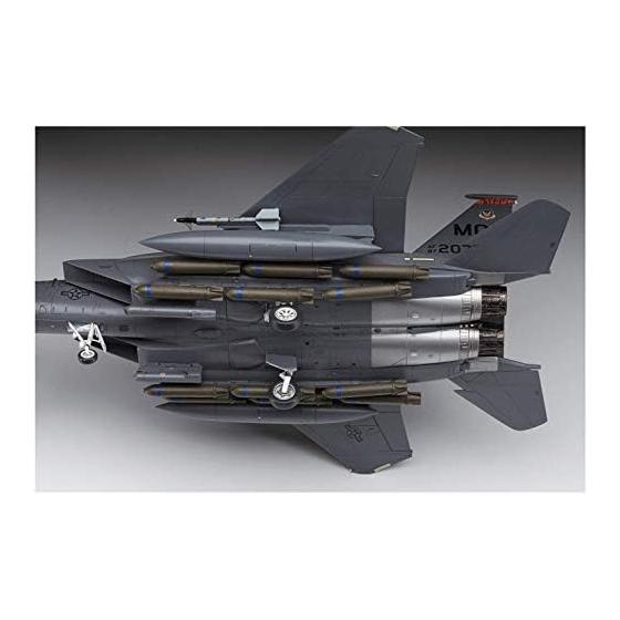 Hasegawa 1/72 US Air Force F-15E Strike Eagle Plastic Model E39