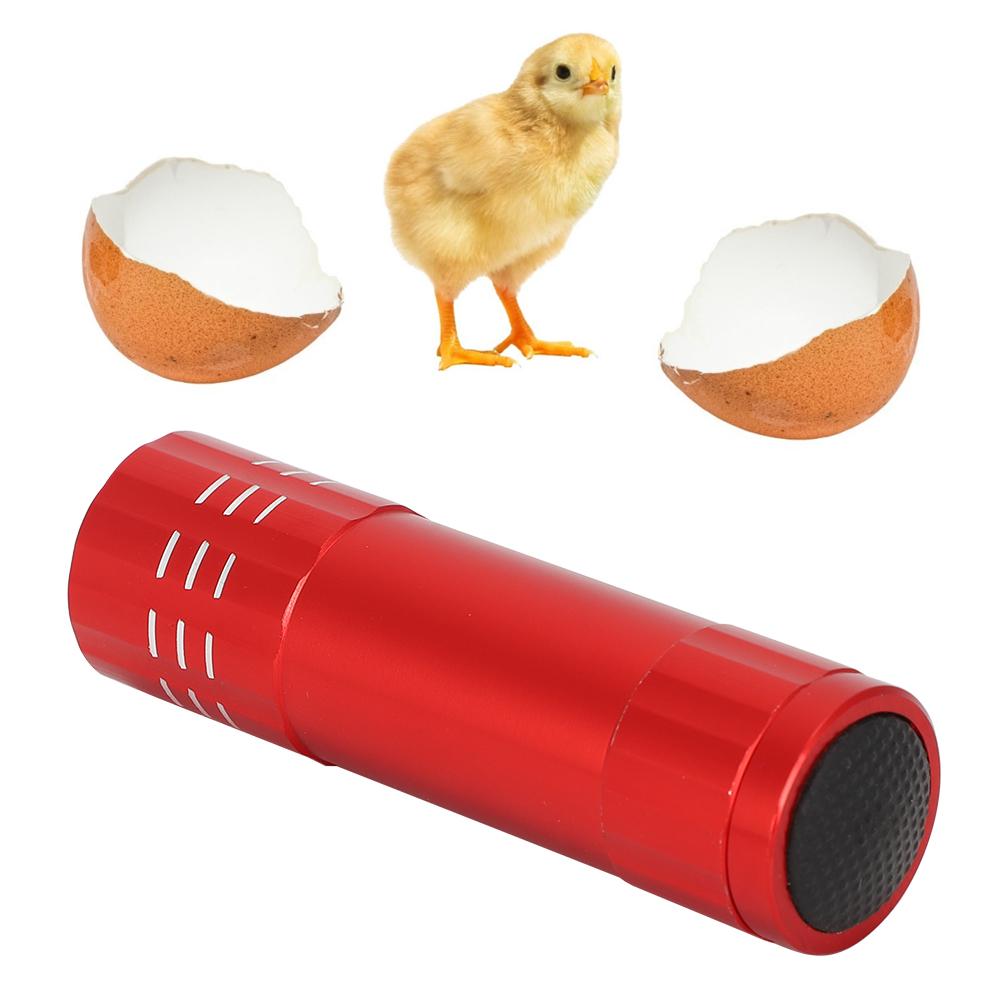 Egg Incubator Tester Candling Lamp 9 Light Bright Cold Hatching Poultry Accessory