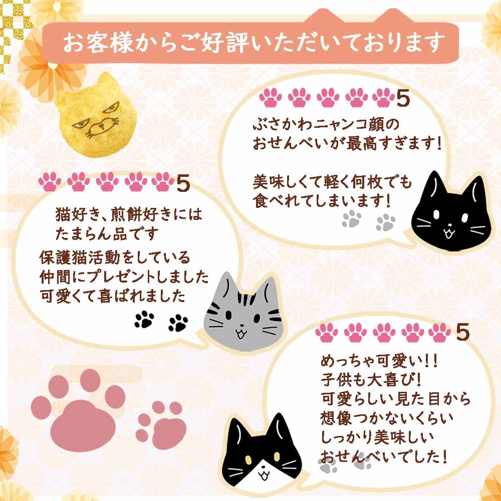 Neko Senbei Soy Sauce 20 Pieces Per 2 Gift Wrapping Authentic Soka Individually Japanese Made with Domestically Grown Perfect As a Gift or (Cat