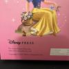 [USED] Overseas $138 Rare Extra Story English Book Disney Princess