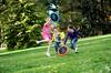 OGOSPORT 2022 Ogodisc Mini - Blue/Yellow