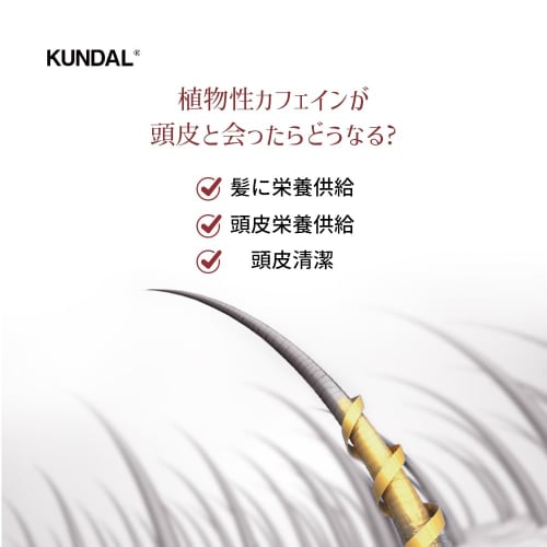 [KUNDAL] Caffeine Scalp Shampoo 500ml #Baby Powder