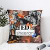 Ed Sheeran Loop Tour 2026 Pillowcase Merchandise Printing Cushion Cover Decorative  Pillow Case Cover Home Multiple Sizes