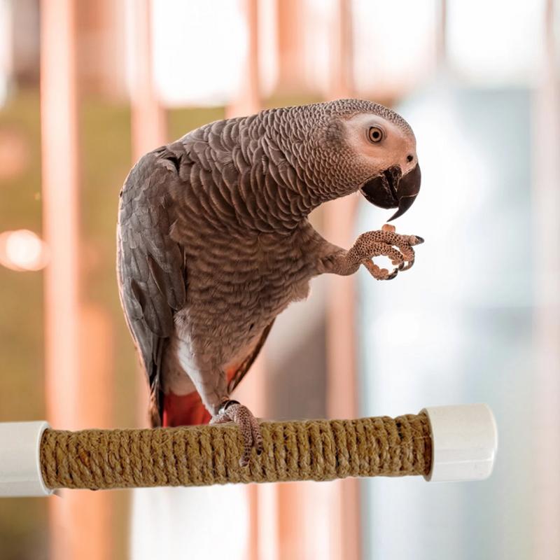 Suction Cup Bird Window And Shower Perch Toy For Parrot Macaw Cockatoo African For Grey Conure Parakeet Parrot bracket