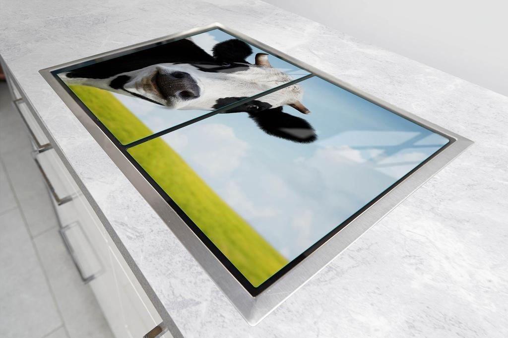 PLAQUE DE PROTECTION EN VERRE POUR PLAQUE DE CUISSON 70x52 VACHE